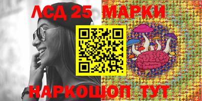 spice Добрянка