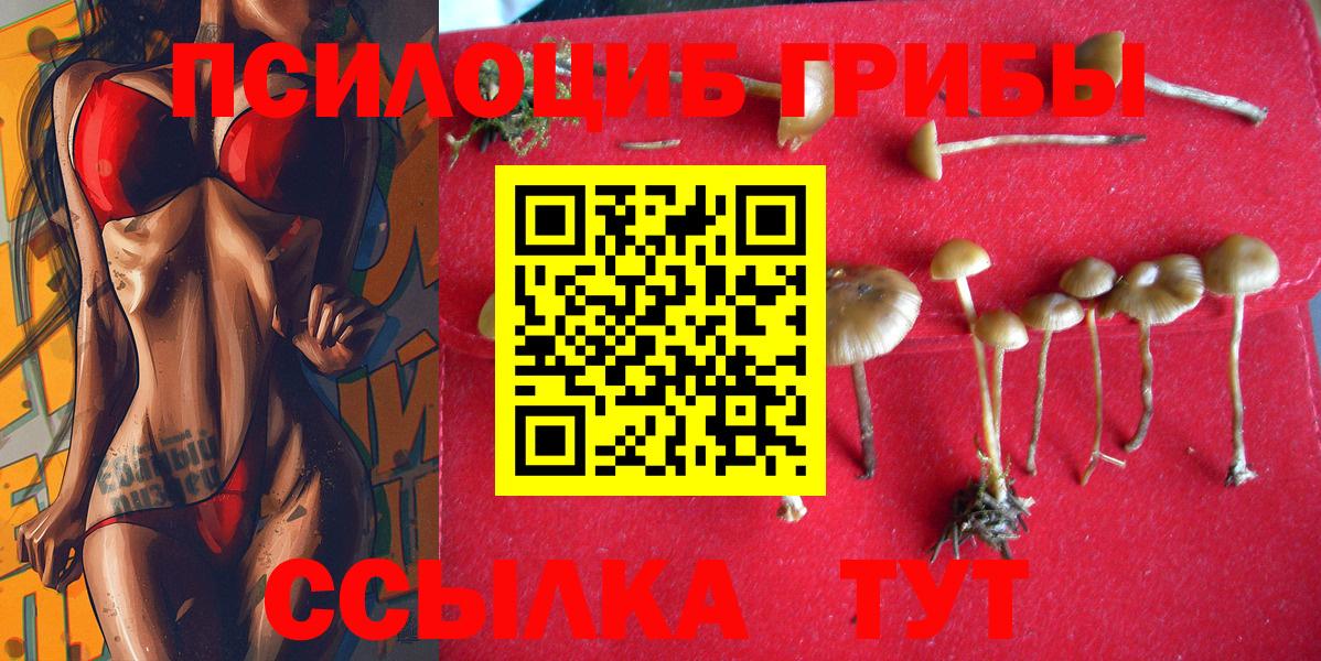 Галлюциногенные грибы Magic Shrooms Всеволожск