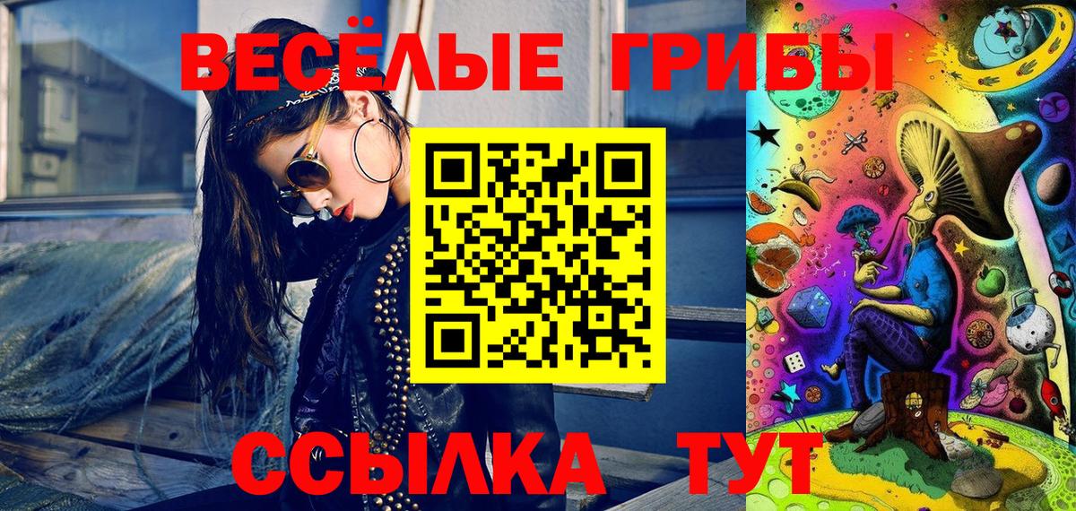 Всеволожск  Псилоцибиновые грибы ЛСД  закладка  Вход с VPN  Галлюциногенные грибы Psilocybine cubensis 